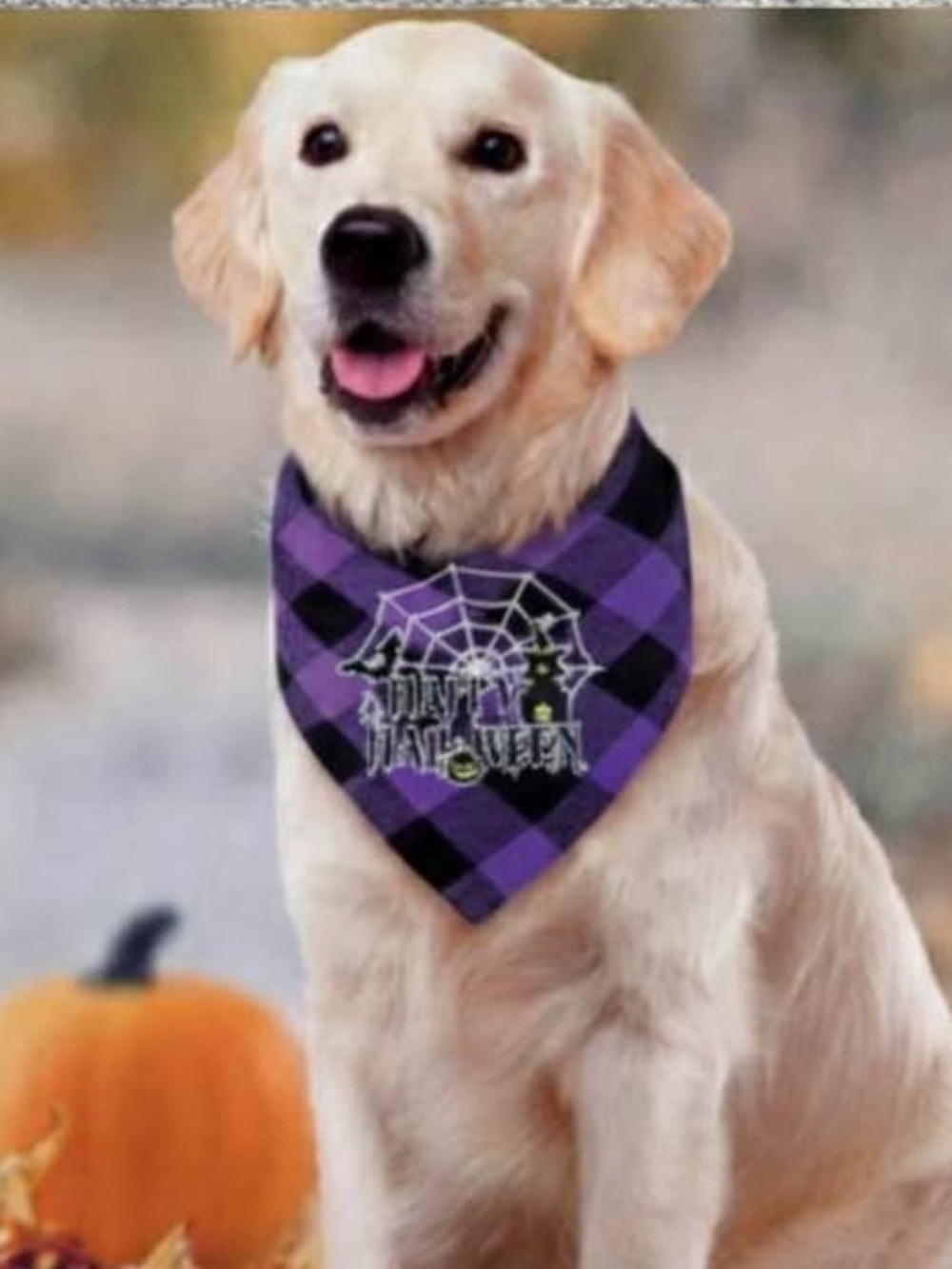 Purple Plaid Halloween Dog Bandana - Brand